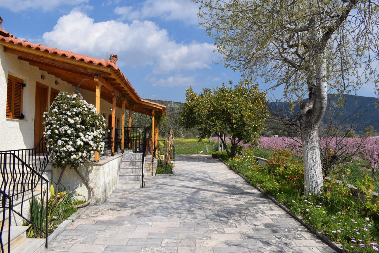 Studio Candia Exterior foto